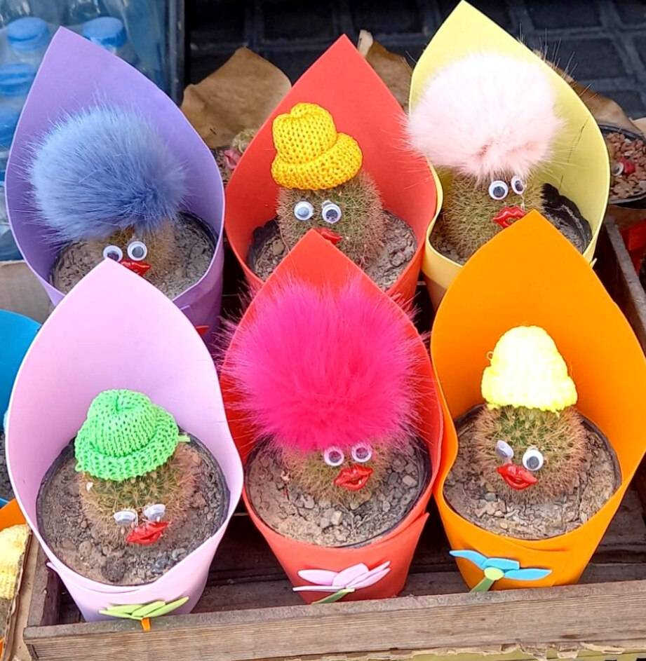کاکتوس عروسکی فانتزی هدیه‌ای خاص برای مراسم، تبلیغات و اشانتیون 16 عددی سایز گلدانها 8