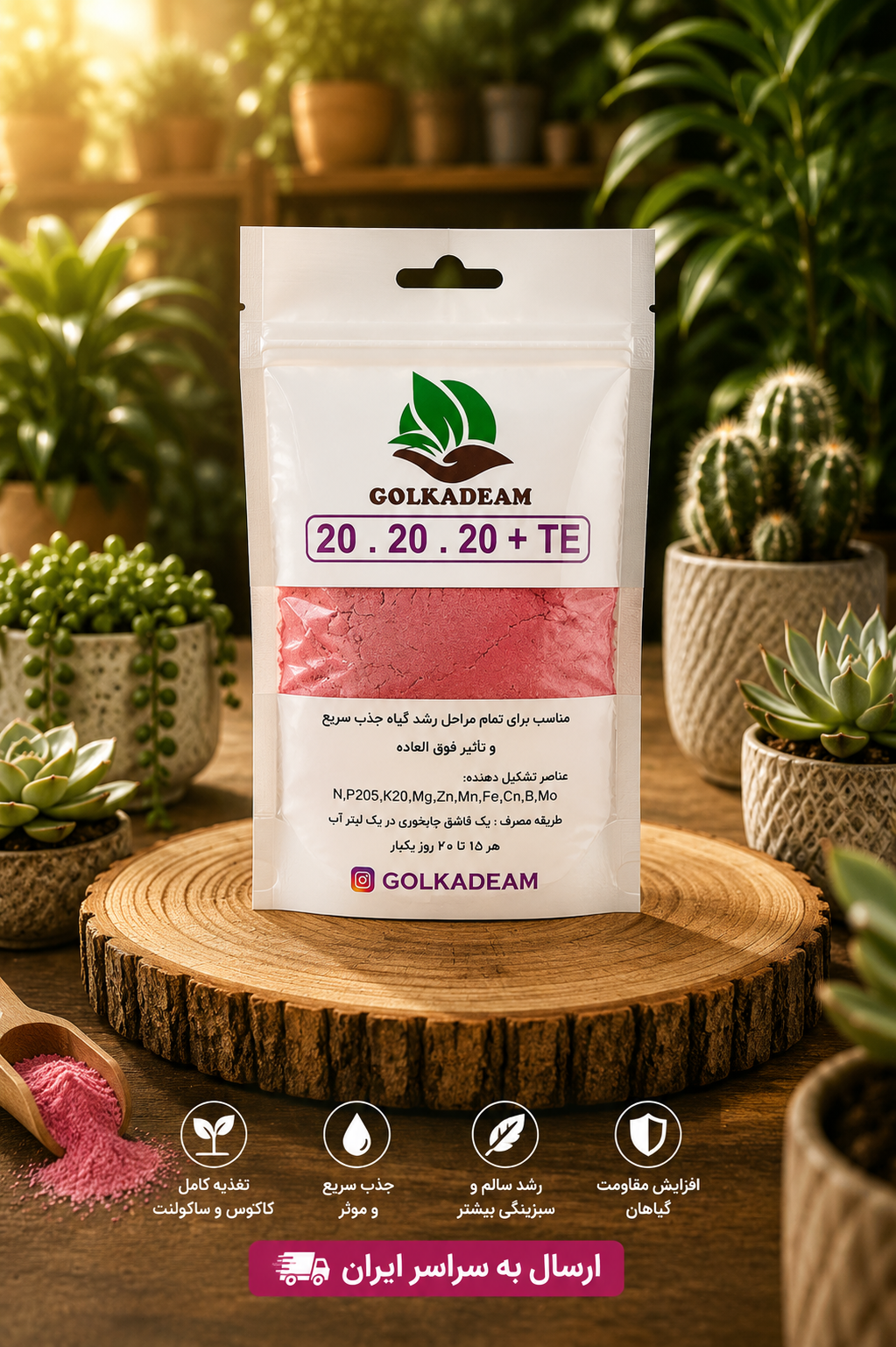 کود هلندی عمده پک 10 عددی 202020 ( 25 گرمی )مناسب برای تمام گیاهان آپارتمانی و بیرونی