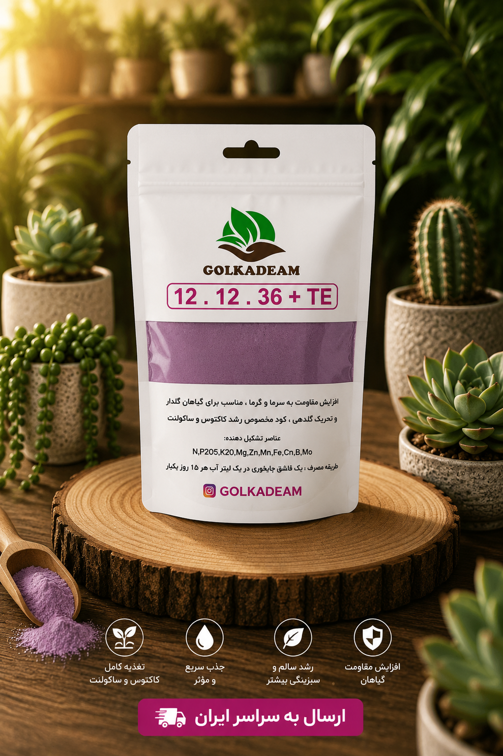 کود هلندی عمده پک 10 عددی 121236  ( 50 گرمی ) مناسب برای تمام گیاهان آپارتمانی و بیرونی
