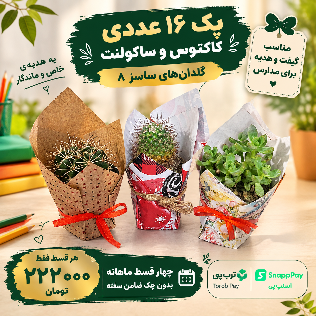 ساکولنت و کاکتوس گیفت و هدیه‌ای خاص برای مراسم، تبلیغات و اشانتیون 16 عددی سایز گلدانها 8